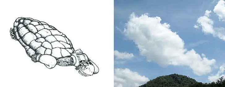 nubes nubes