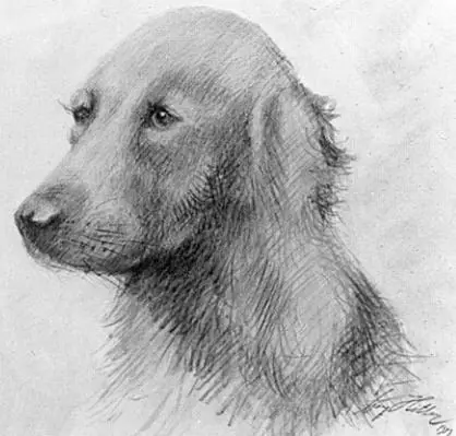 aleman