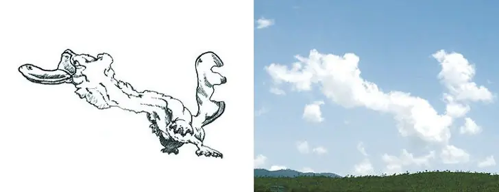 argentino argentino