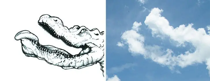 arte arte