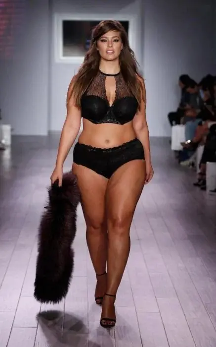 modelos