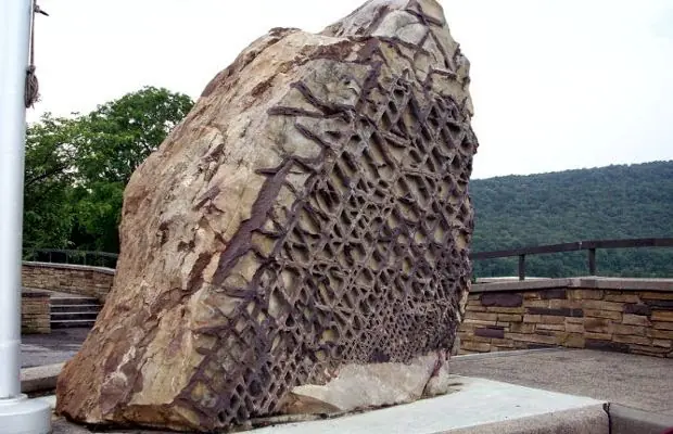 rareza