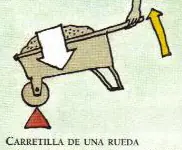 cuerpo humano