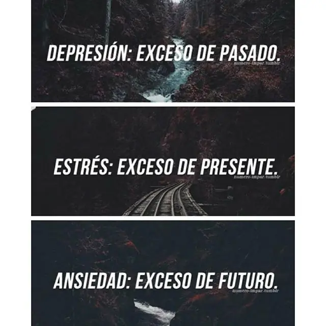 judios judios