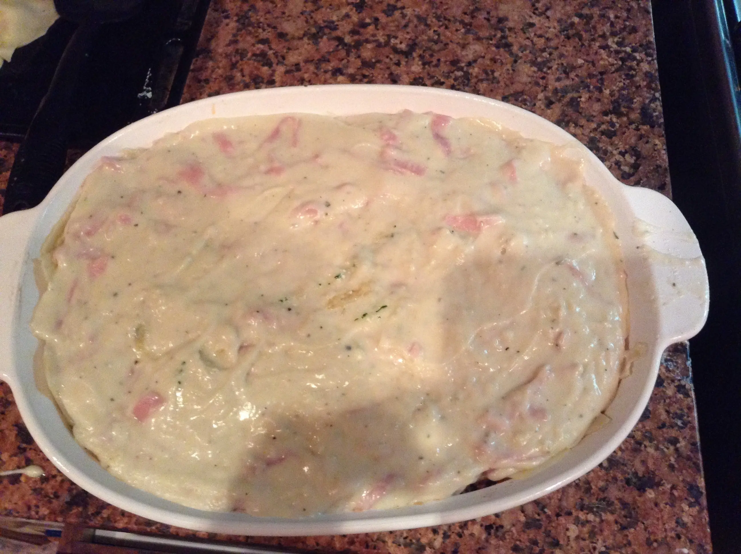 Lasagna Para Garfield (Foto Receta)