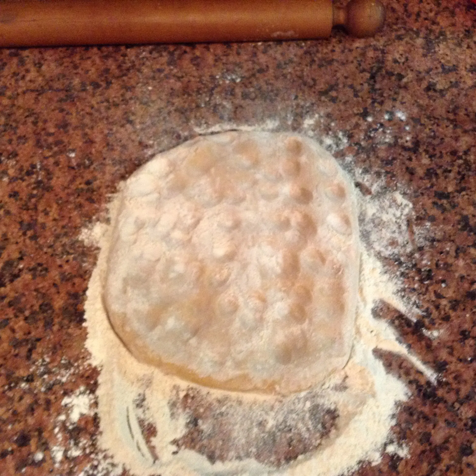 bolognesa