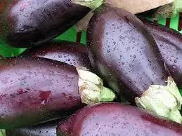 aceite aceite