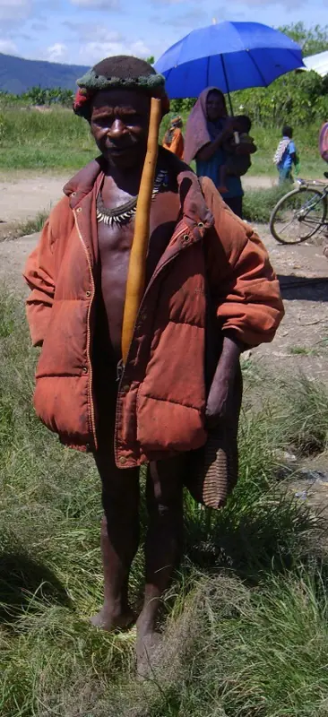 kotek