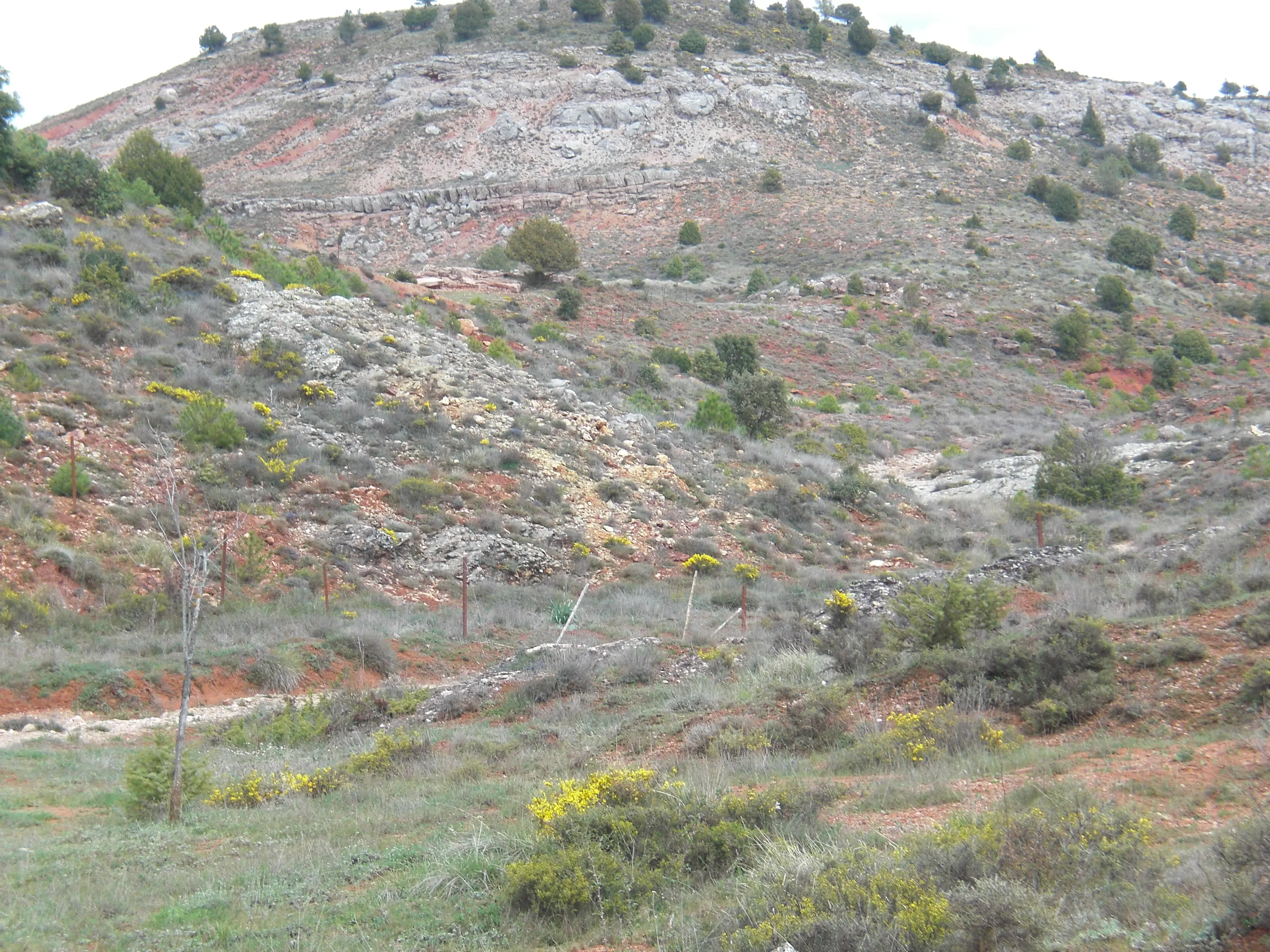Descubren una caverna construida por un perezoso gigante