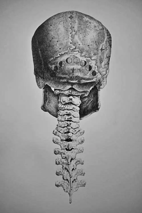dibujo digital
