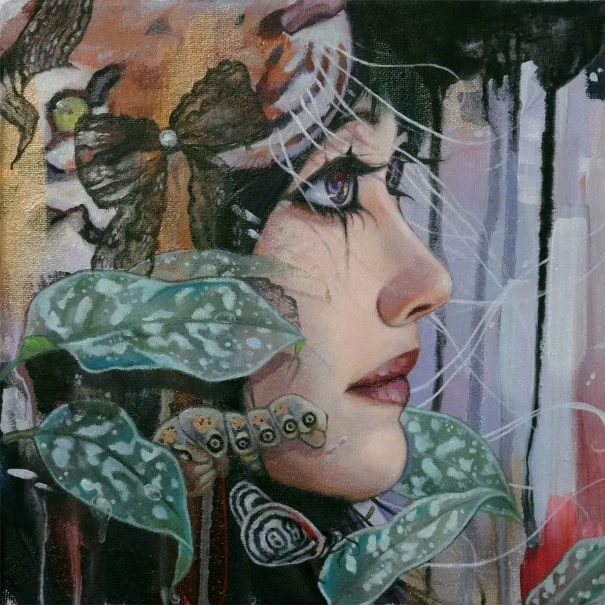 ilustraciones