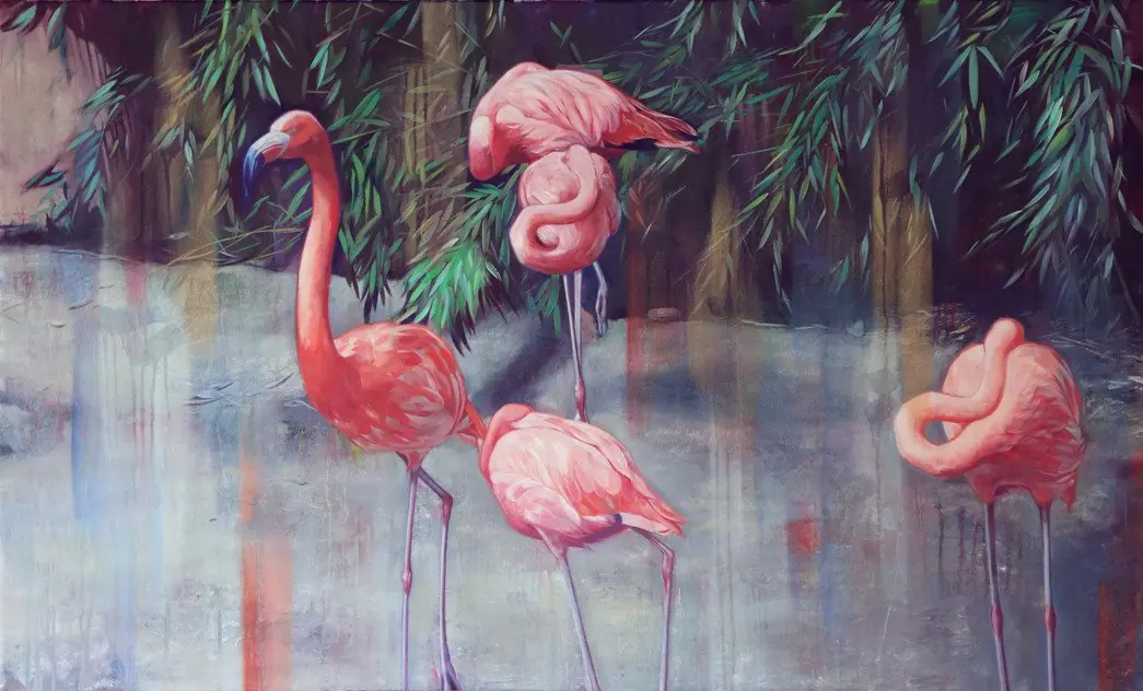 ilustraciones