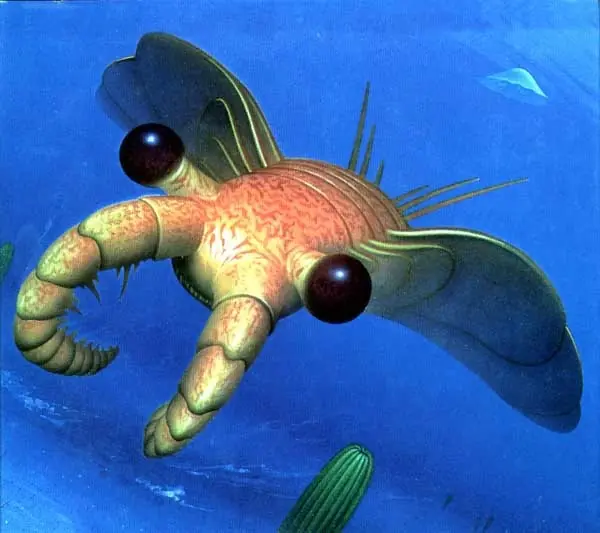 ojo