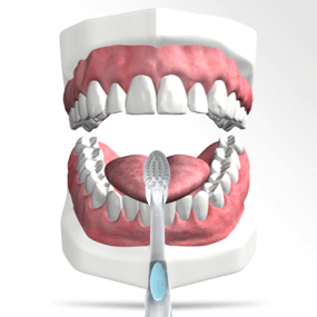 dientes saludables dientes saludables