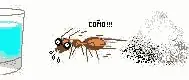 eres