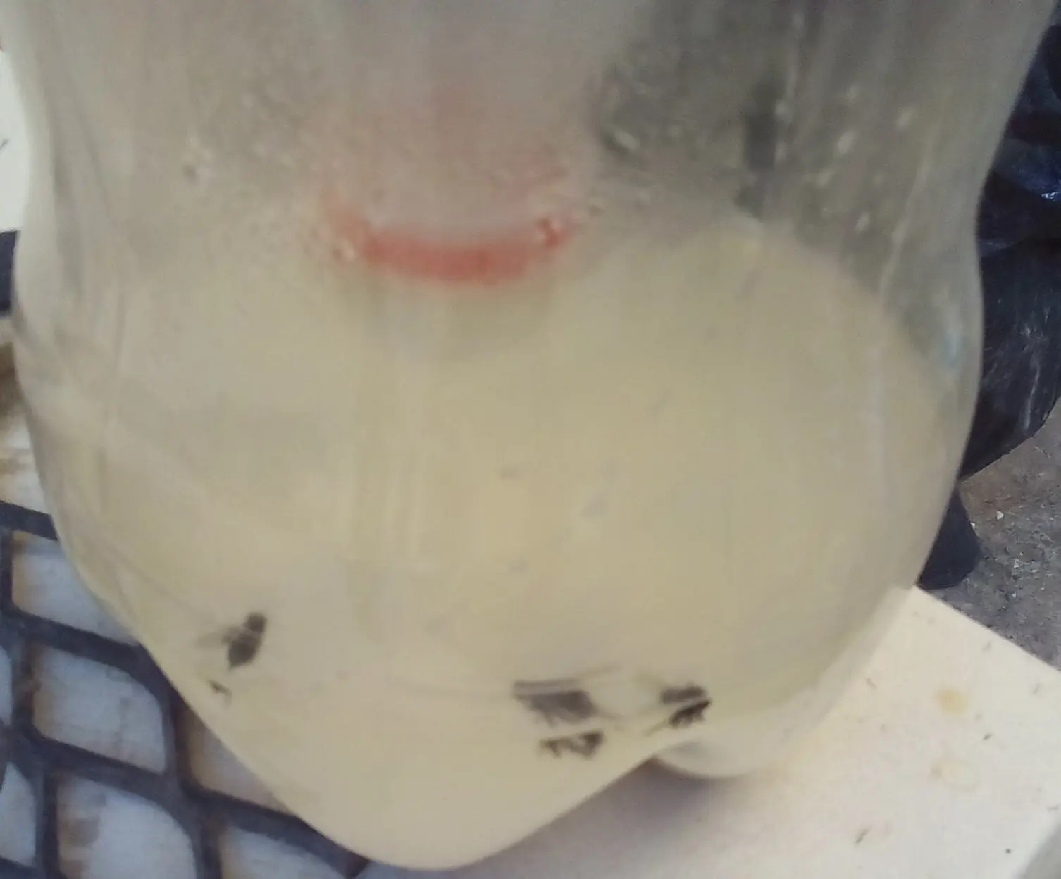 Trampa para mosquitos casera... funciona?