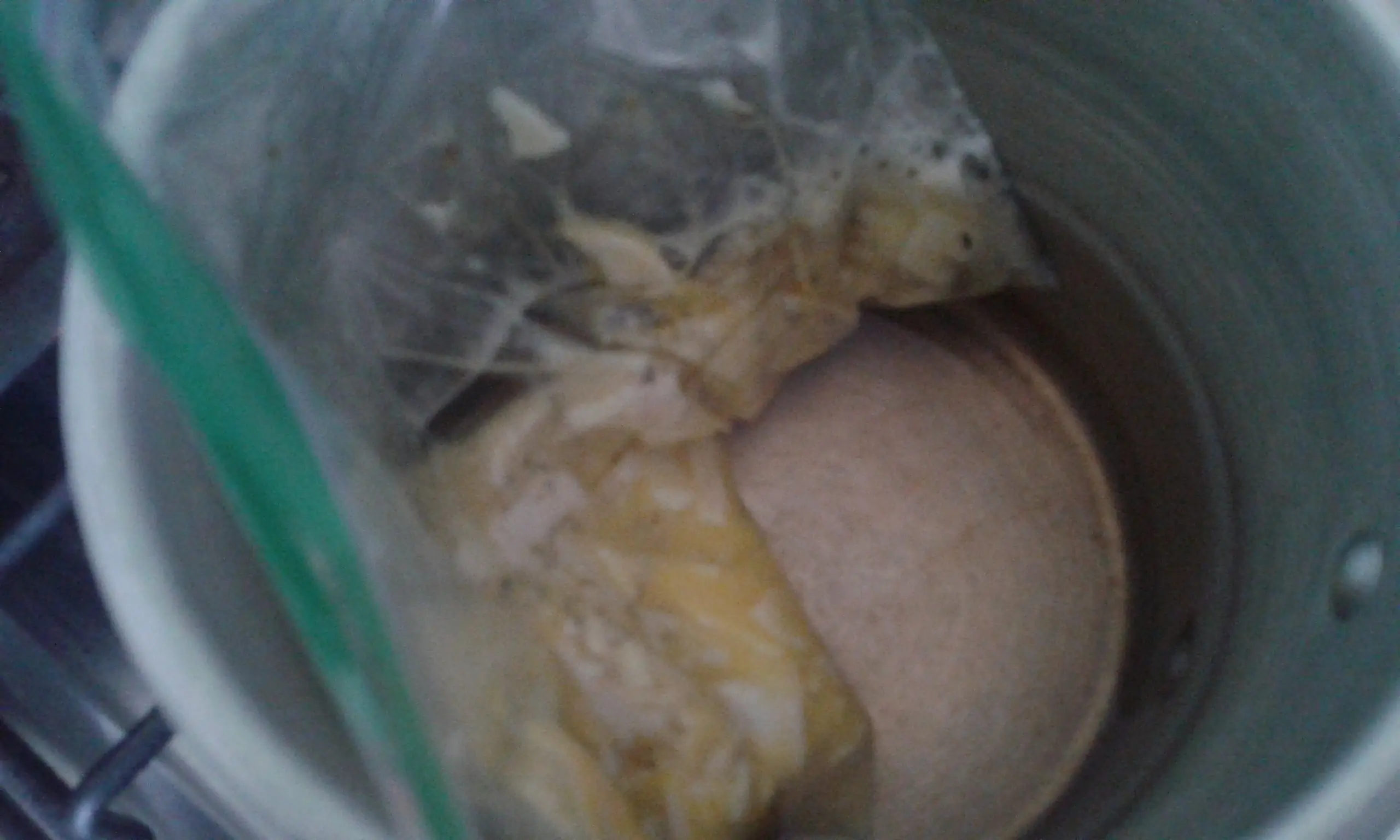 Mi Omelette a la Ziploc