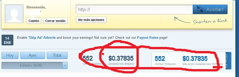 Quise ser millonario con AdFly, fallé y te lo cuento!!!!