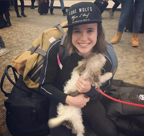 ellen page ellen page