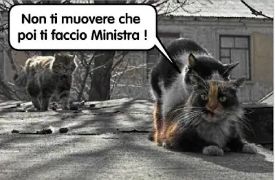 Chistes Chistes