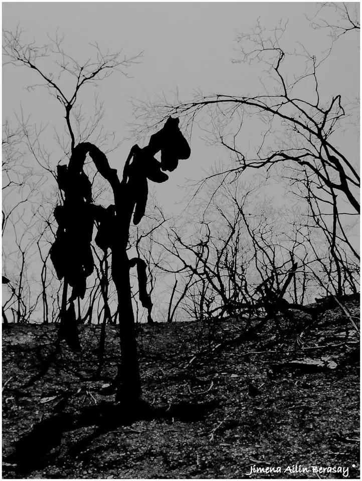 Excursion (Jujuy, Arg - Historia de terror real)