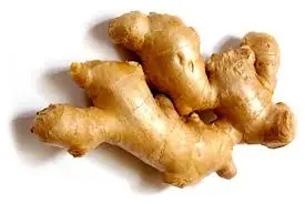 fideos fideos