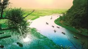 tai tai