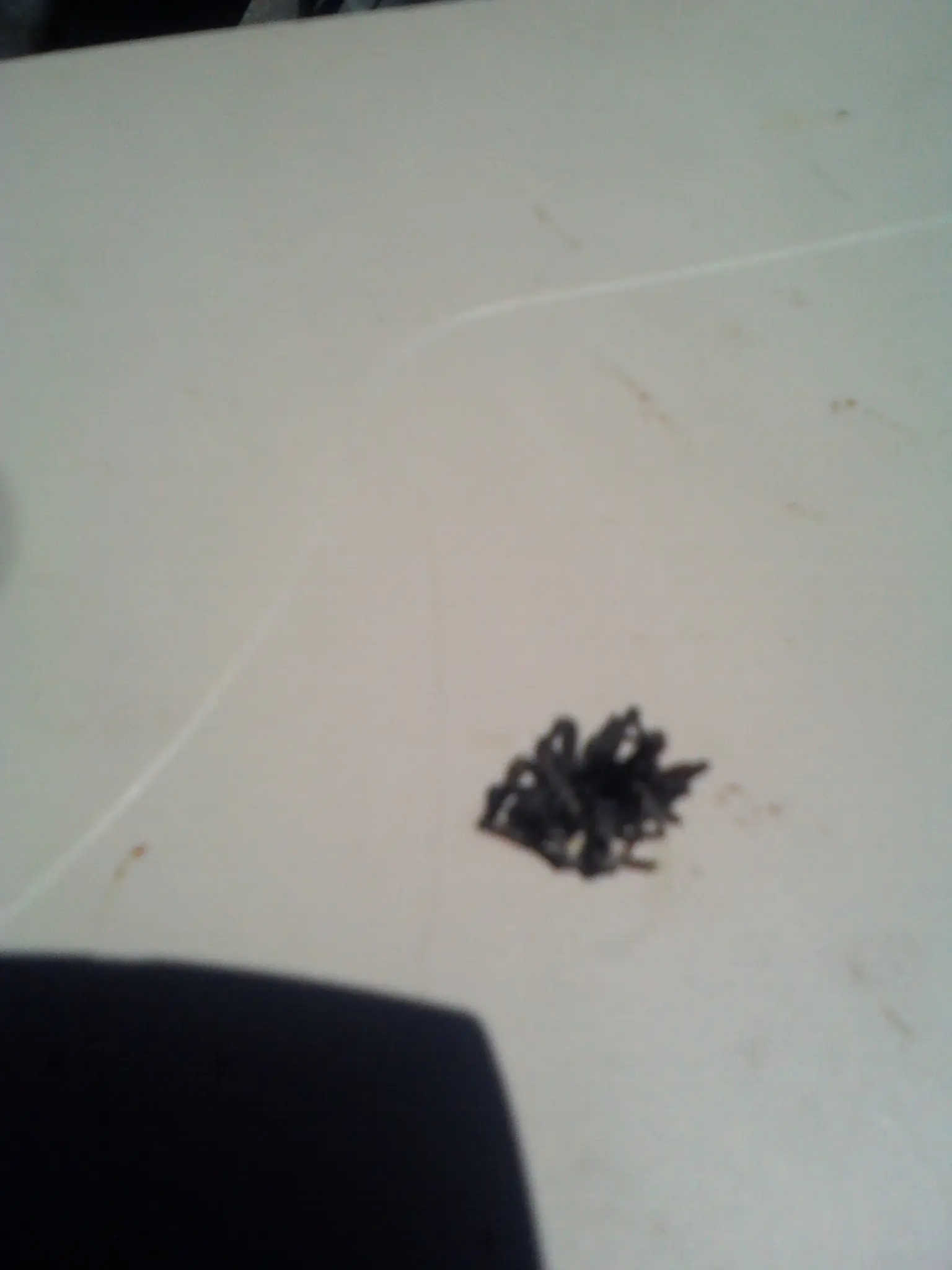 picadura picadura