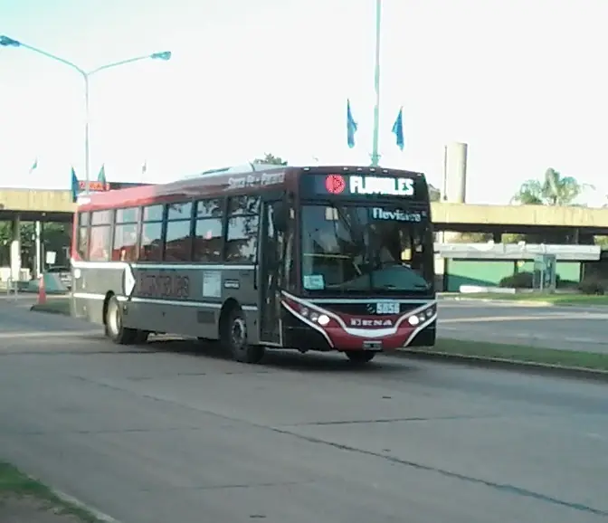 buses