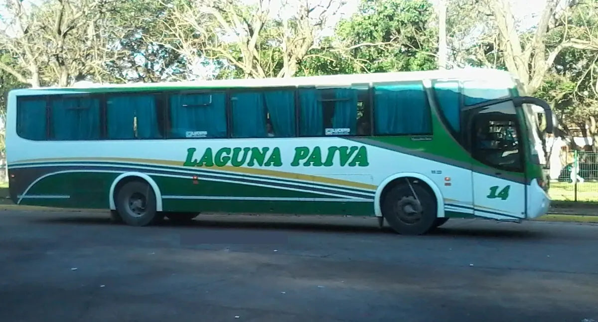 Colectivos Argentinos (Parte II)