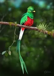 biodiversidad en mexico