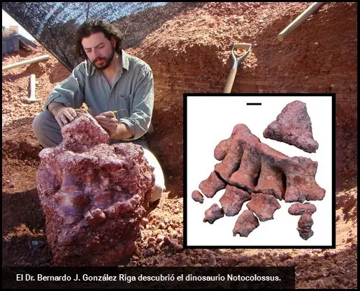 Descubren a uno de los dinosaurios más grandes del mundo