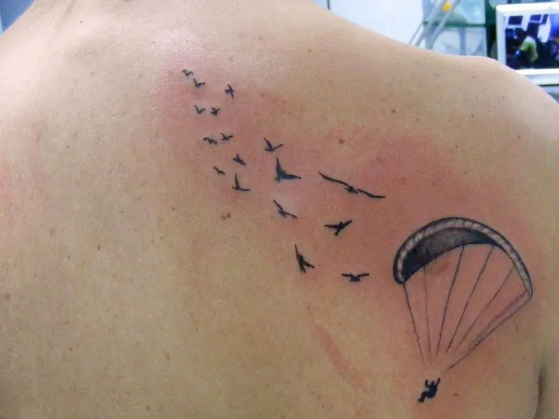 pajaros