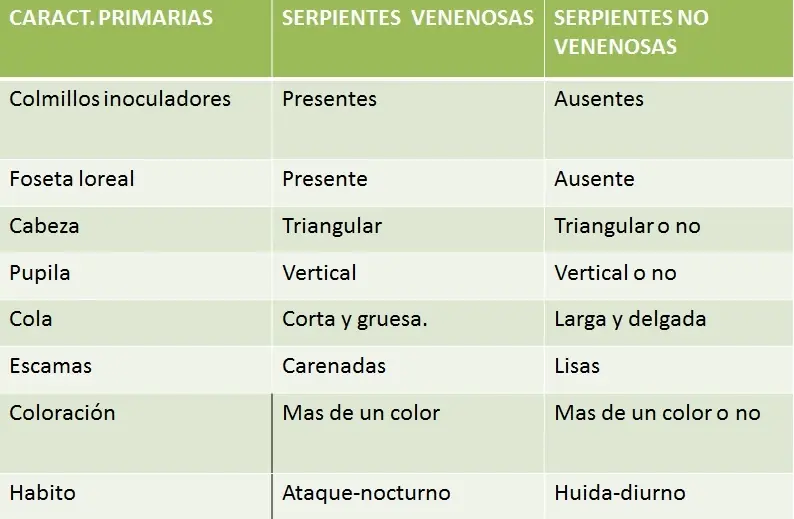 Accidentes Por Animales Ponzoñosos