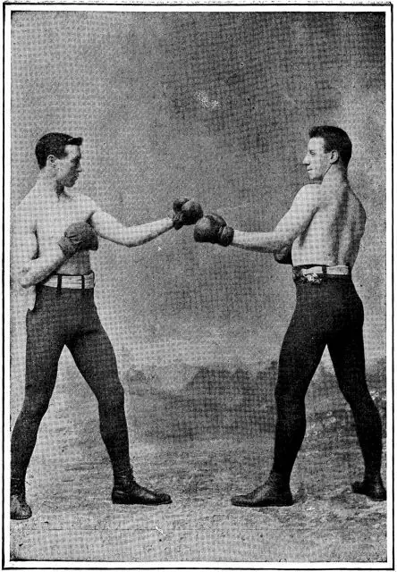 Peleas