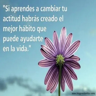 esfuerzo