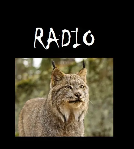 RADIO LINCE
