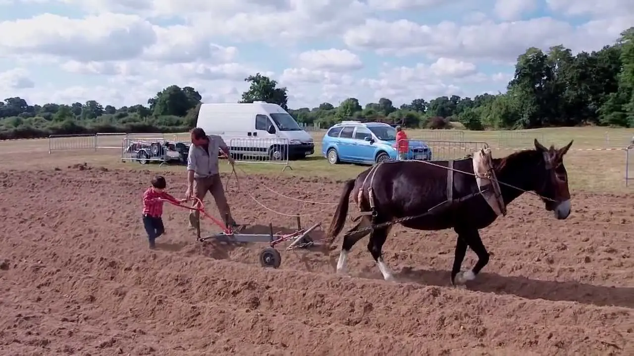 La queres poner?Deci estas frases papa!