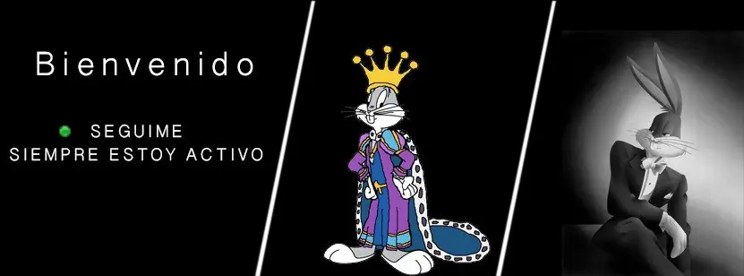 ¿Por qué los pájaros viajan en V? + resumen nv5