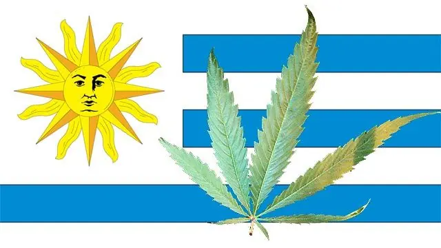 marihuana