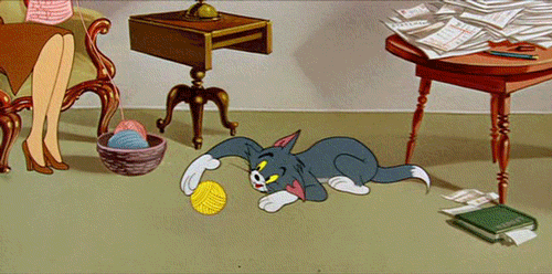 tom y jerry