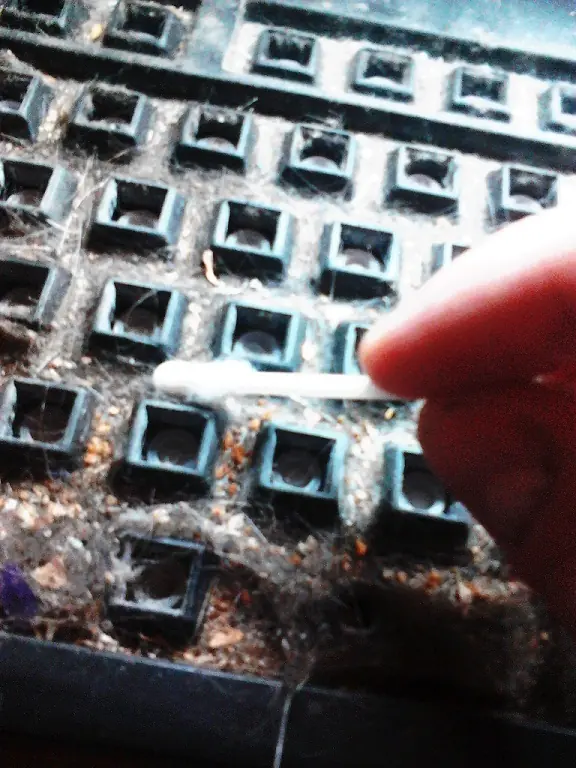 teclado qwerty