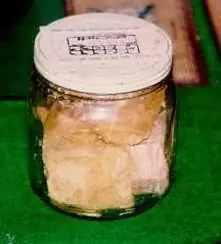 66 preguntas y respuestas sobre el Holocausto