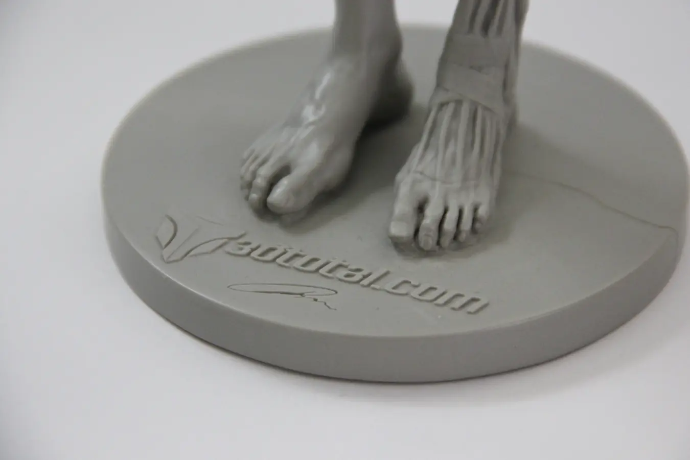 ANATOMIA