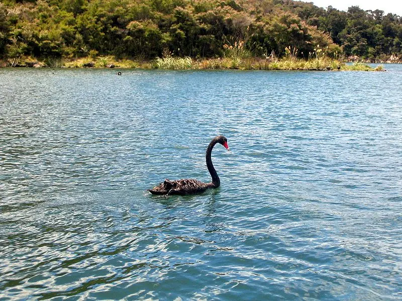 Lago Rotomahana
