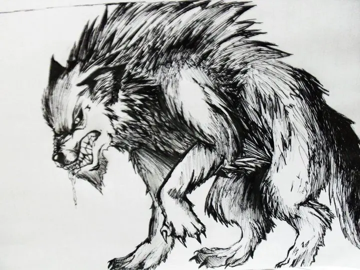 Animales