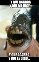 +10 si te saco una sonrisa