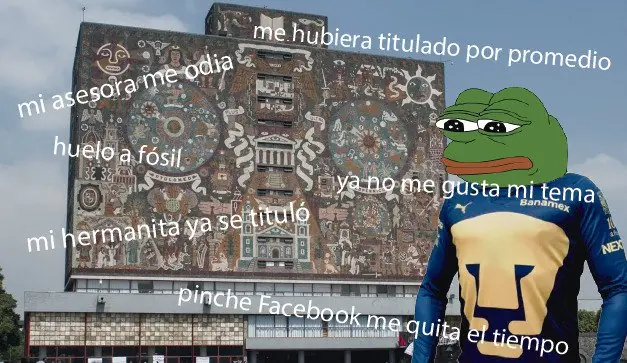 vinetas