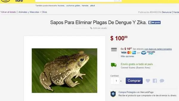 Solucion para evitar el Dengue y Zika