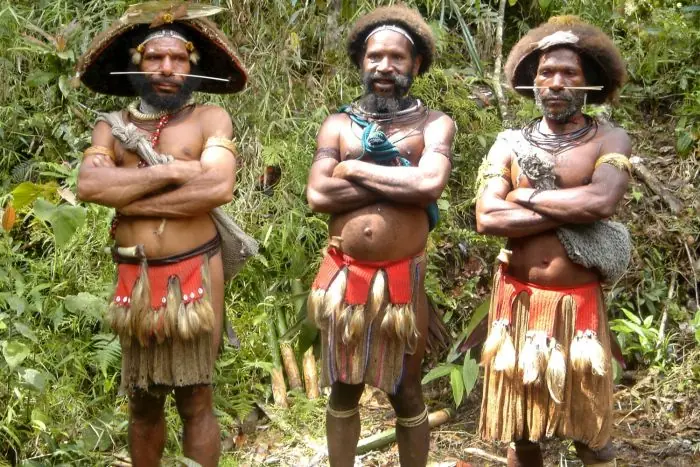 Tribu Tribu